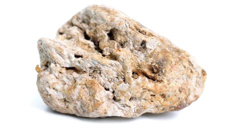 Marine gold: The secret scatological world of whale poo traders.